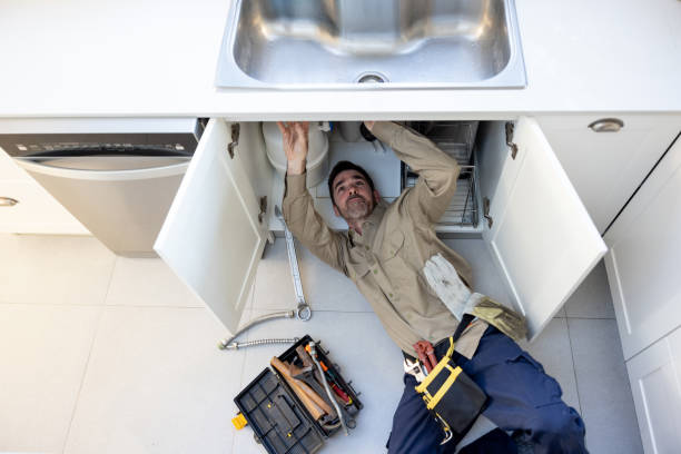 Best Local Plumber Services  in Bellevue, NE