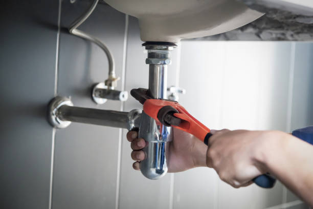 Best Plumbing Services Near Me  in Bellevue, NE