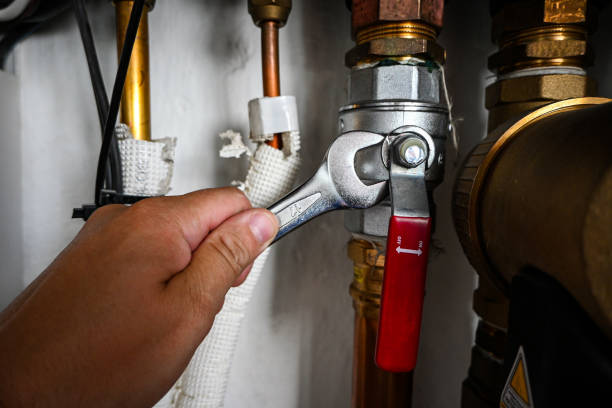  Bellevue, NE Plumbing Pros